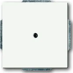 Busch-Jaeger Zentralscheibe weiß Blindabdeckung, mit Tragring 1742-884
