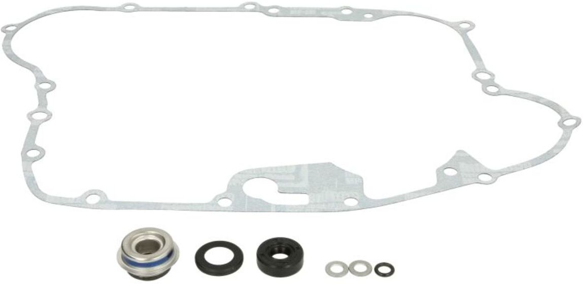 Pompe à eau WINDEROSA W821804