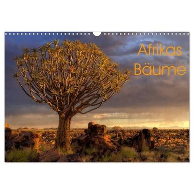 Afrikas Bäume (Wandkalender 2027 DIN A3 quer), CALVENDO Monatskalender