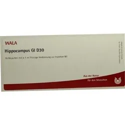 HIPPOCAMPUS GL D 30 Ampullen 10 ml