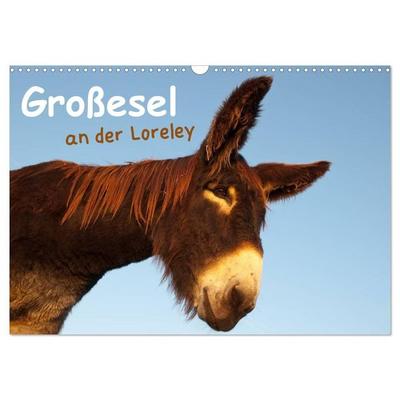 Großesel an der Loreley (Wandkalender 2027 DIN A3 quer), CALVENDO Monatskalender