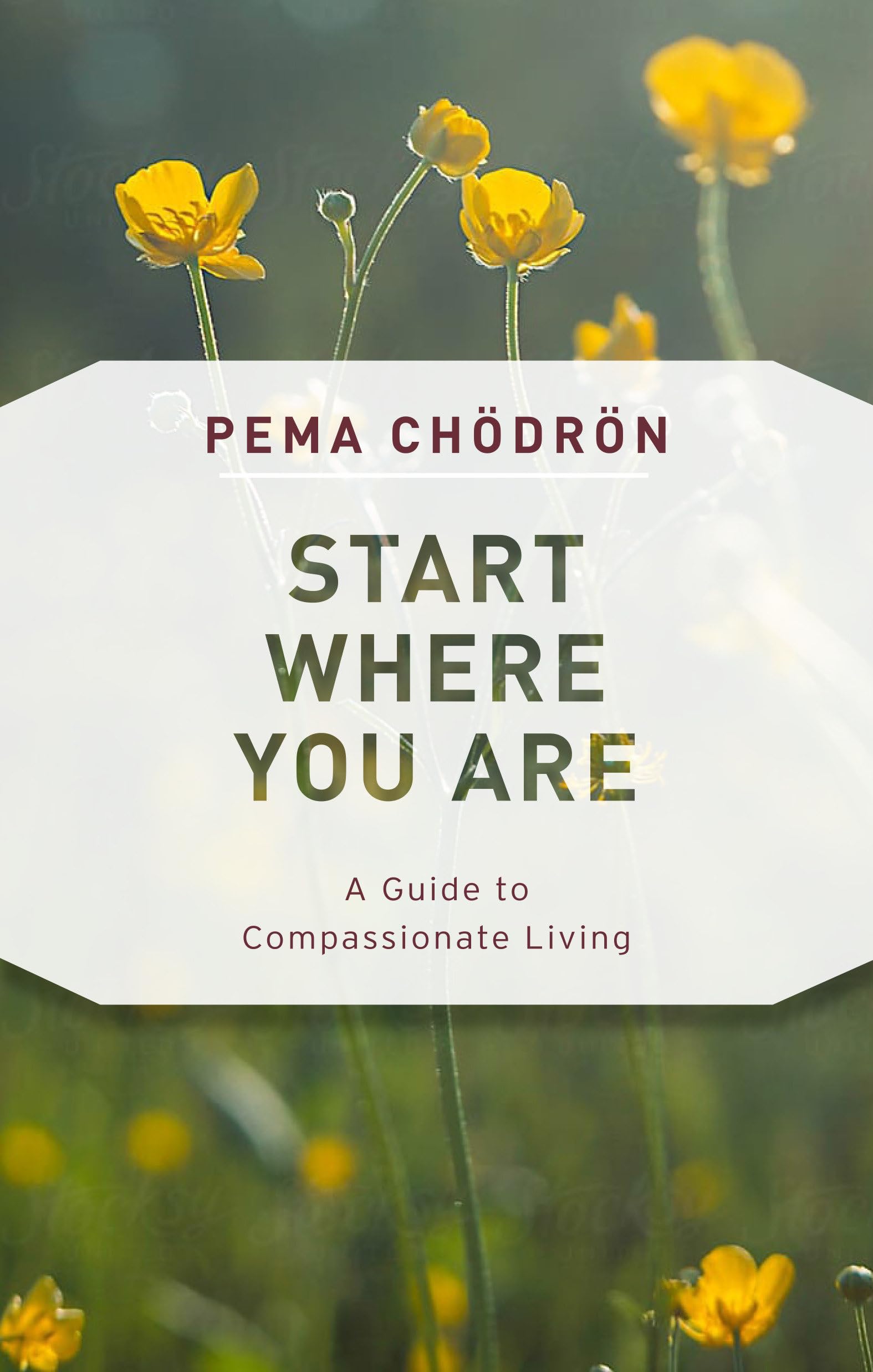 Pema Chödrön - Start Where You Are: A Guide to Compassionate Living - Preis vom 13.10.2026 19:28:25 h