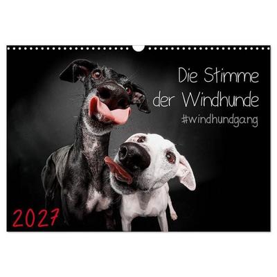 Die Stimme der Windhunde (Wandkalender 2027 DIN A3 quer), CALVENDO Monatskalender