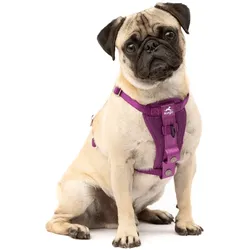 Kurgo Tru-Fit Autosicherheitsgeschirr für Hunde, Größe XS, Lila