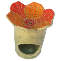 Bioherba Duftlampe Orange Blume Weisheit 1 St