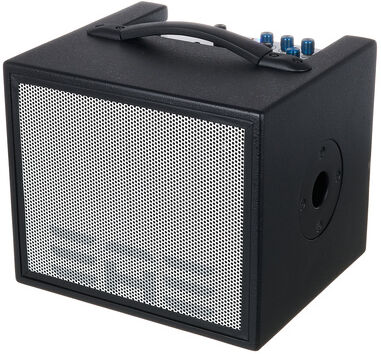 Elite Acoustics A1-8 PB Acoustic Amplifier Schwarz
