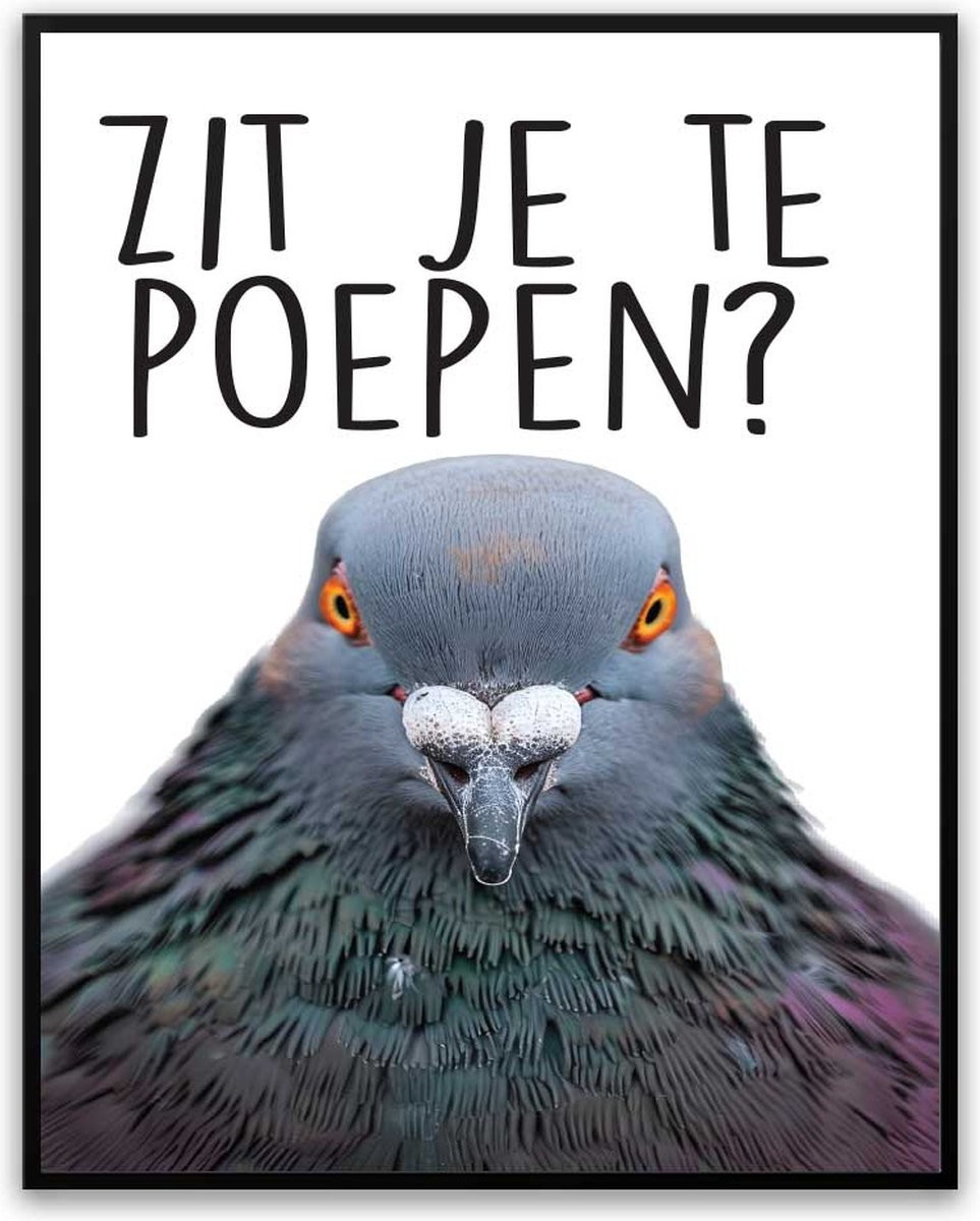 Grappige Duif Toilet Fotolijst Poster voor in de Badkamer