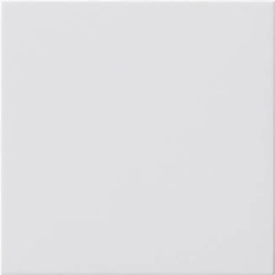 Gira Blindabdeckung rws 810803