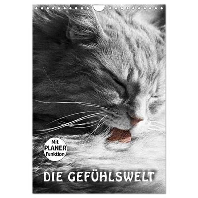 DIE GEFÜHLSWELT (Wandkalender 2027 DIN A4 hoch), CALVENDO Monatskalender