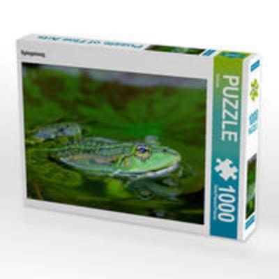CALVENDO Puzzle Spiegelung. 1000 Teile Lege-Größe 64 x 48 cm Foto-Puzzle Bild von Rufotos