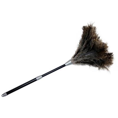 Staubwedel MAXIMEX "Straußenfeder Staub-Magnet", schwarz (schwarz, natur), B:20cm H:81cm L:20cm, Kunststoff, Staubwischer, Staubwedel, Staubbesen mit 100% echten Straußenfedern, ausziehbarer Teleskopstiel
