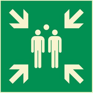 Abtec Hinweisschild ISO 7010 E007, Kunststoff, 20 x 20 cm, nachleuchtend, Sammelstelle