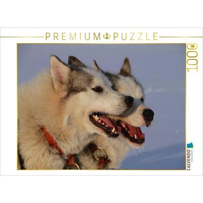 CALVENDO Puzzle Brüder | 1000 Teile Lege-Größe 64x48cm Foto-Puzzle für glückliche Stunden