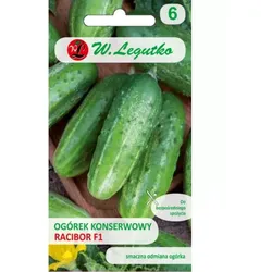 Freilandgurke Racibor F1 – mittel früh