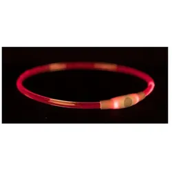4x Trixie Flash Leuchtring USB (L, XL, Hund, Hundesport), Halsband + Leine