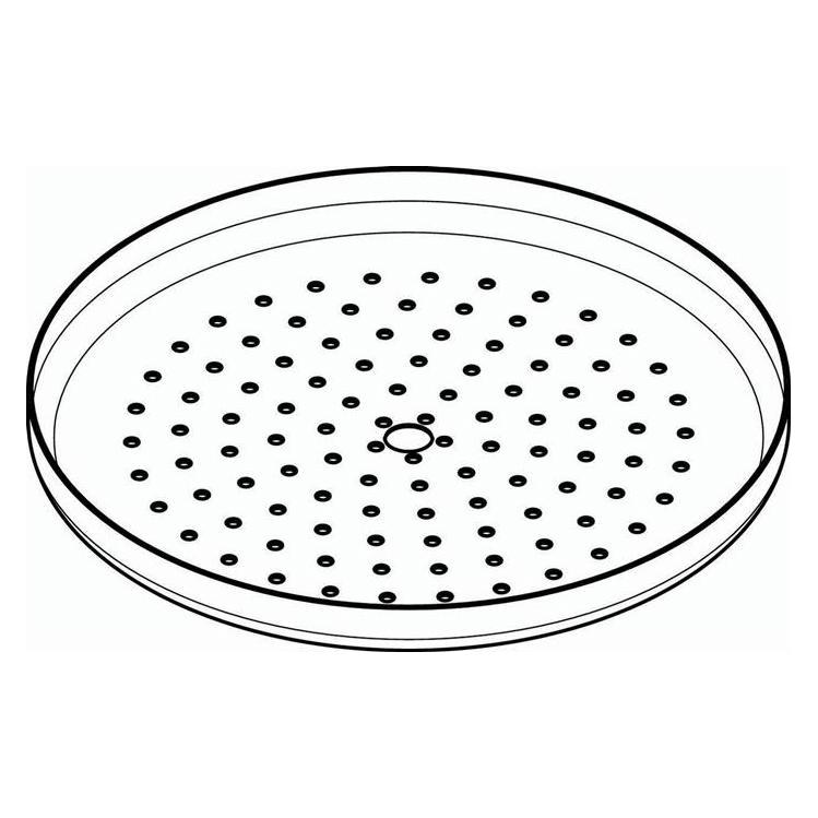 hansgrohe HG Strahlscheibe für Croma 220 Kopfbrause chrom (92882000)