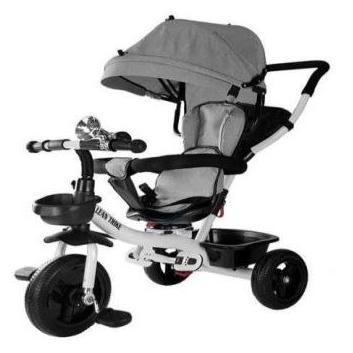 Lean Toys Rower Trójkołowy PRO300 Szary (7673)