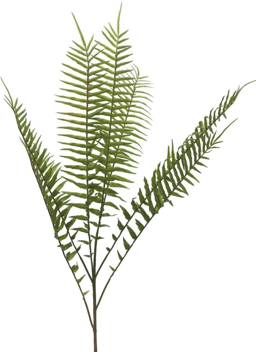 Kunstvaren Boston Decoratietak Groen - 85 cm