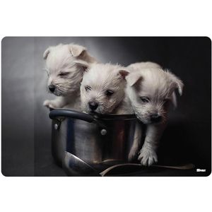 Spirit Schreibunterlage TTS 408734, mehrfarbig, Kunststoff, Puppies, 60 x 40cm