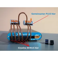 Set zum Anschluss einer Leuchte mit gemeinsamen +Pol am SunRiser 6/8       Set für gemeinsamen +Pol am SunRiser 8     