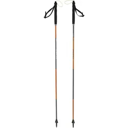 Camp, Wanderstöcke, (120 cm)