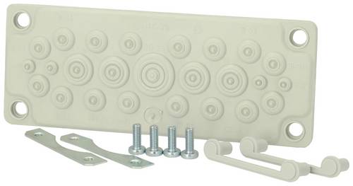 Fibox FMF 25 Kabeldurchführungsplatte Polycarbonat Lichtgrau (RAL 7035) 1St.