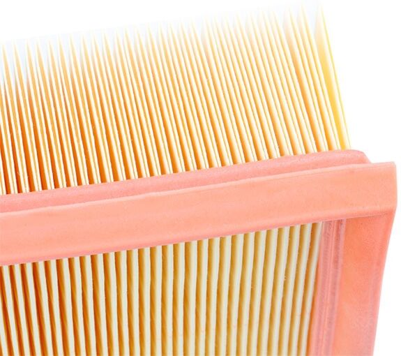 MANN-FILTER C 39 219 Air filter