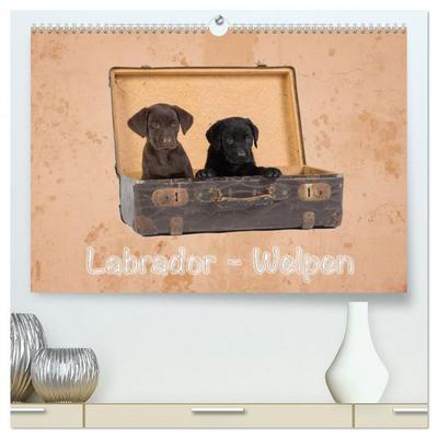 Labrador - Welpen (hochwertiger Premium Wandkalender 2026 DIN A2 quer), Kunstdruck in Hochglanz