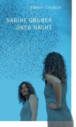 Sabine Gruber - Über Nacht: Roman - Preis vom 13.10.2026 19:28:25 h