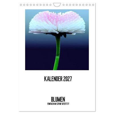 BLUMEN EINFACH IN SZENE GESETZT (Wandkalender 2027 DIN A4 hoch), CALVENDO Monatskalender