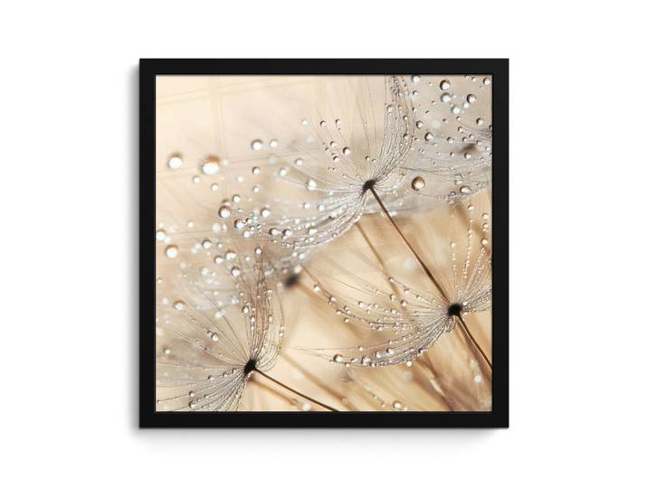 MuchoWow Poster MIT Rahmen Löwenzahn - Abstrakt - Natur - Beige 40x40 cm, Braun, Papier, Quadratisch, 40x40 cm, gerahmt, Bilder & Rahmen, Bilder