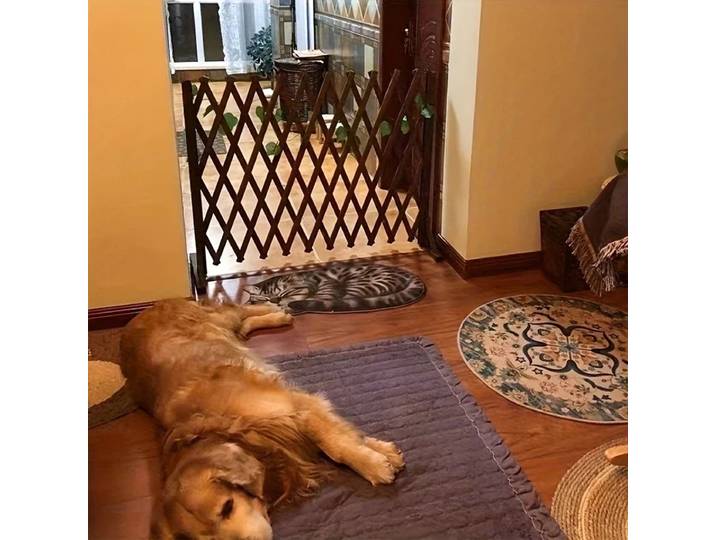 Porte rétractable en bois pour animaux de compagnie, pour chiens et chats, barrière de sécurité intérieure facile à installer pour la maison, la chambre à coucher, la porte et les escaliers