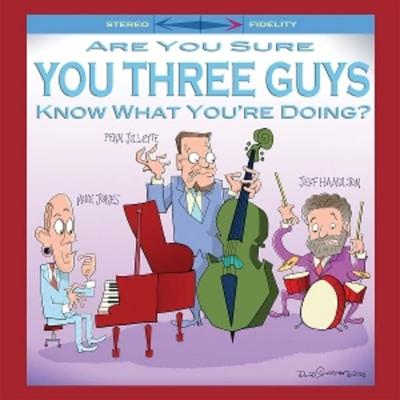 Are You Sure You Three Guys Know What Youre Doing - Mike Jones,Penn Jillette,Jeff Hamilton, Vinyl