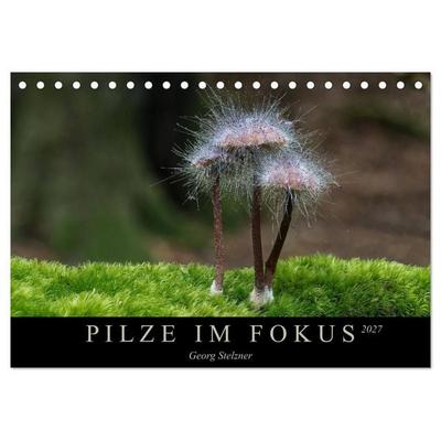 PILZE IM FOKUS 2027 (Tischkalender 2027 DIN A5 quer), CALVENDO Monatskalender