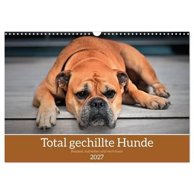 Total gechillte Hunde (Wandkalender 2027 DIN A3 quer), CALVENDO Monatskalender