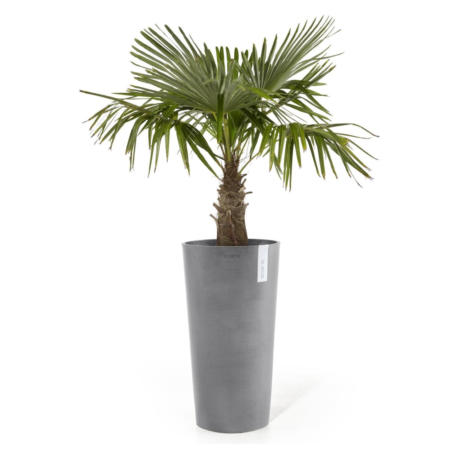 Ecopots Amsterdam halbhoch (34 x 66 cm) (AMMH.66.GR)