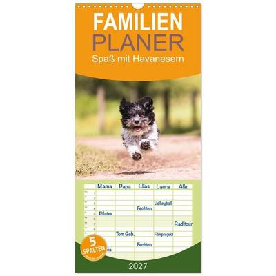 Familienplaner 2027 - Spaß mit Havanesern mit 5 Spalten (Wandkalender, 21 x 45 cm) CALVENDO
