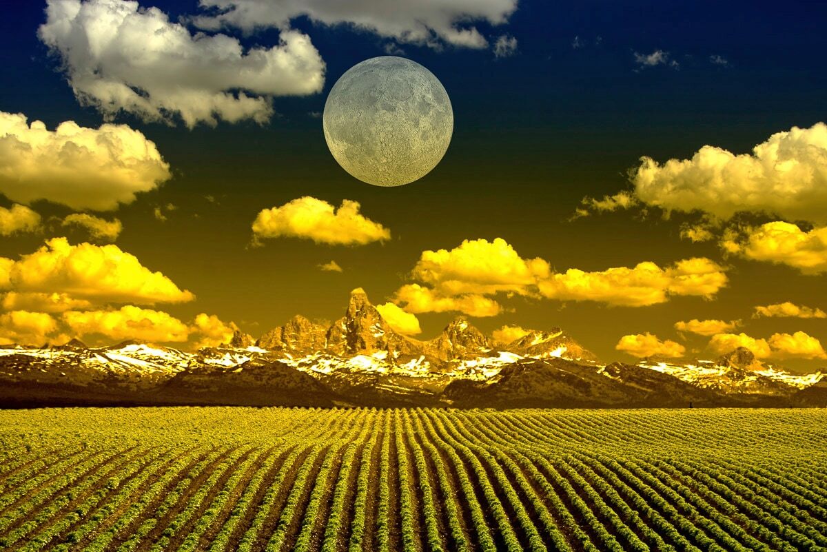 Papermoon "Felder mit Mond" bunt B/L: 5m x 2,8m, Bahnen: 10 Stk.