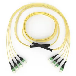 Corning Stammkabel 48FasernOS2 20m G909048GLZ88U020M
