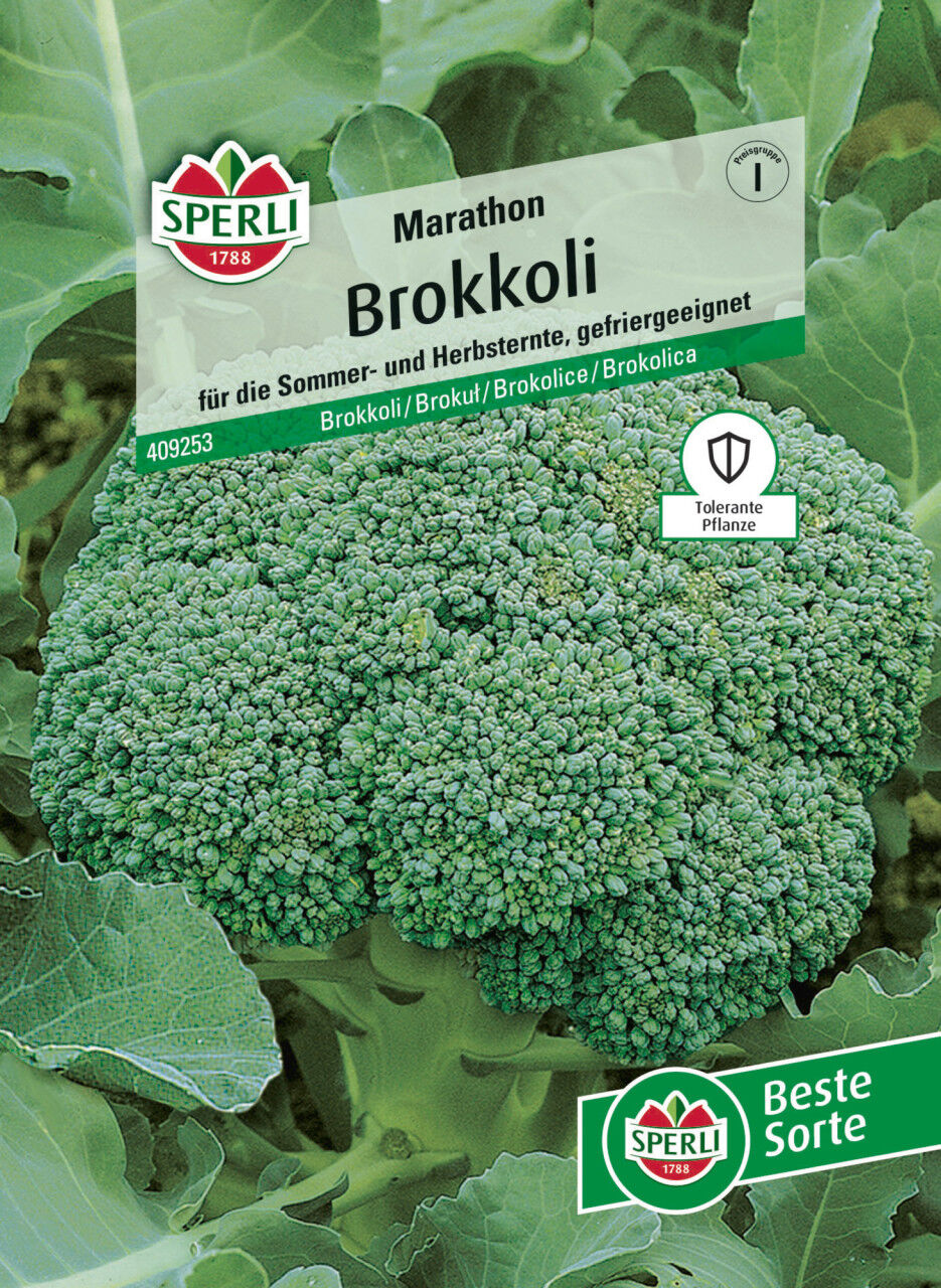 Sperli Saatgut Brokkoli Marathon F1 für ca. 35 Pflanzen
