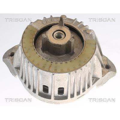 Triscan Lagerung, Motor [Hersteller-Nr. 850523108] für Mercedes-Benz