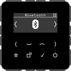 Jung Smart DAB+ Digitalradio DAB CD BT SW