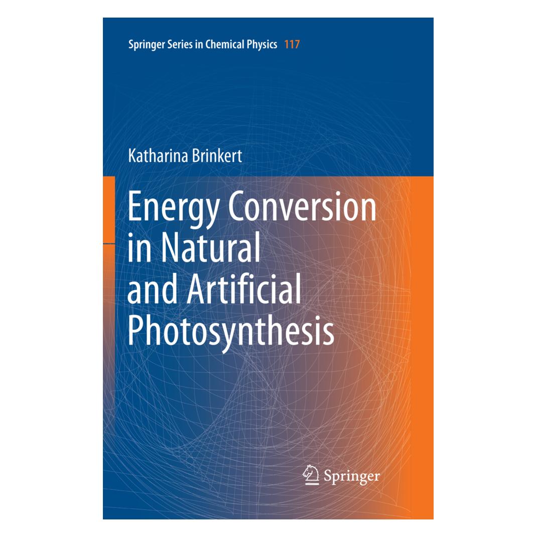 Springer Energy Conversion in Natural and Artificial Photosynthesis (Englisch, Softcover, Katharina Brinkert) (56058621)