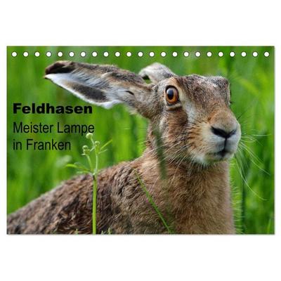 Feldhasen - Meister Lampe in Franken (Tischkalender 2027 DIN A5 quer), CALVENDO Monatskalender