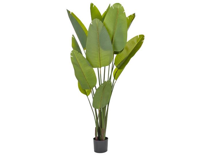 Beliani Kunstpflanze im Blumentopf 187 cm Grün/Schwarz Banana Tree, Grün, Schwarz, Kunststoff, 187 cm, Dekoration, Blumen & Blumentöpfe, Kunstpflanzen