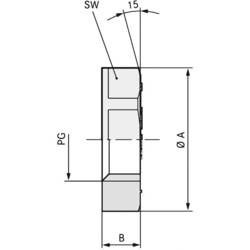 LAPP 53019080 SKINTOP GMP-GL PG 42 RAL 7001 SGY Gegenmutter PG42 PG42 Polyamid Silber-Grau (RAL 7001) 25 St.