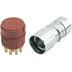 Lapp EPIC Steckverbinder M23 12pol, Elektronikkabel + Stecker, Mehrfarbig