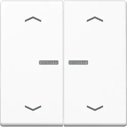 Jung Wippe Symbole aws A 595 KO5MP WW