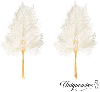 Uniquewise Preserved Real Floral Stems Chic Vase Fillers & Accents for Bouquets Centerpieces & Ornamental Displays
