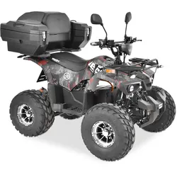Elektro Quad mit Straßenzulassung Huron 56199
